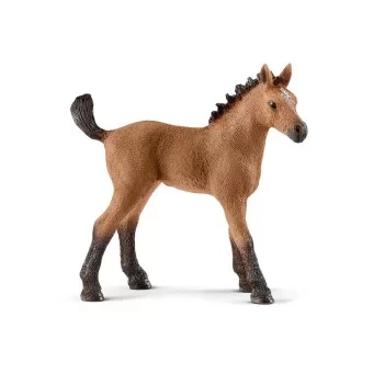 Schleich - Rasa Quarter - Źrebię Figurka w opakowaniu 13854