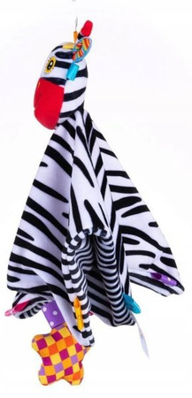 Dumel Kocyk Zebra