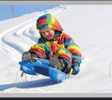 Dantoy De Luxe Sanki Bobslej z Hamulcami 84cm Czarne