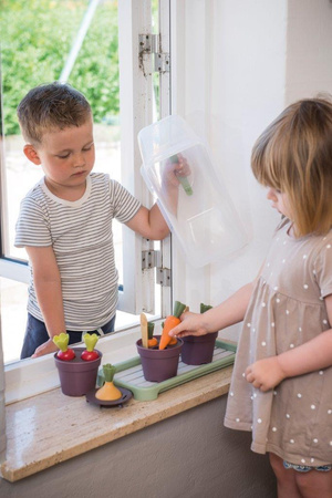 Dantoy GREEN GARDEN Mini szklarnia z roślinami