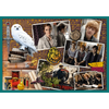Trefl Harry Potter Puzzle 10w1 W Świecie Harrego Pottera