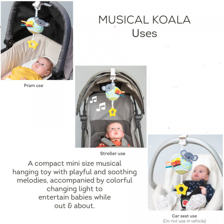 Taf Toys Pozytywka Koala Kimmy – Zabawka Muzyczna z Melodiami i Białym Szumem