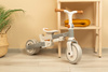Toyz Faro Rowerek 3 Kołowy Grey