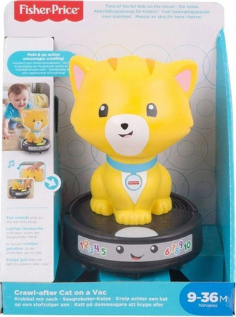 Fisher Price Kot Na Odkurzaczu Raczkuj Ze Mną GMX70