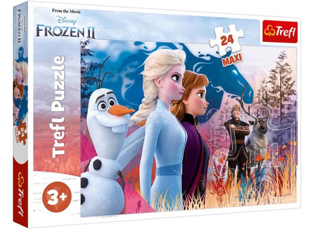 Puzzle MAXI 24 Frozen II - Magiczna Wyprawqa 14298