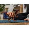 Schleich Dinosaurus - Allozaur 15043