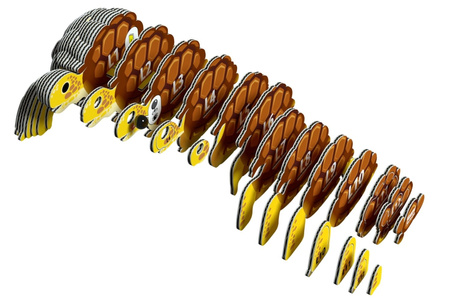 Eugy Eko 3D Układanka Ryba Żółw Lądowy