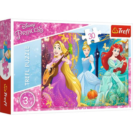 Puzzles    Enchanted melody  Disney Princess