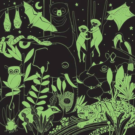 Mudpuppy Puzzle Rodzinne Świecące W Ciemności Dżungla 500 Elementów 8+