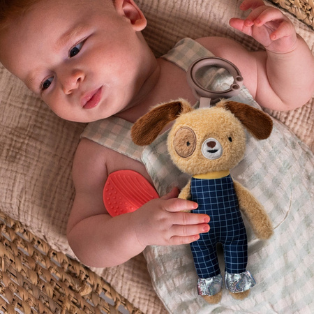 Taf Toys Pies Daniel – przytulanka i gryzak dla niemowląt 0m+ z funkcjami sensorycznymi