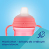 Canpol Babie sFirstCup Kubek z Silikonowym Ustnikiem 250ml Bonjour Niebieski 56/613_blu