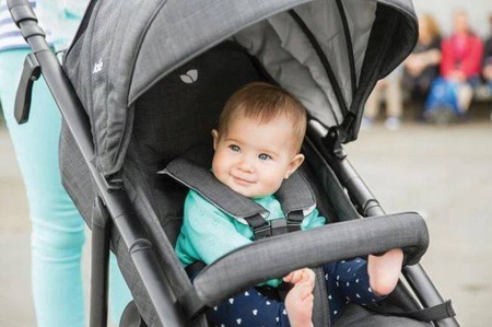 JOIE Mytrax Wózek Spacerowy Grey Flannel