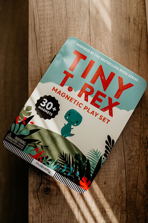 Mudpuppy Magnetyczne konstrukcje Tiny T.rex 4+