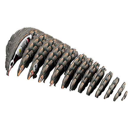 Eugy Eko 3D Układanka Łuskowiec