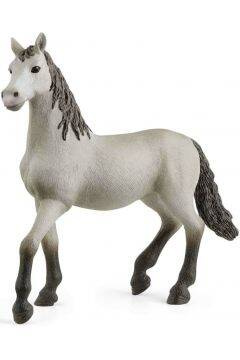 Schleich Hiszpański Młody Koń