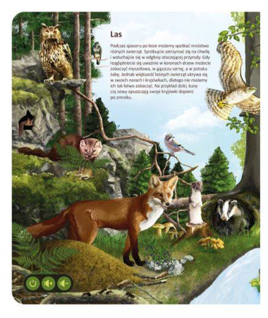 Albi Czytaj Z Albikiem Książka Świat Zwierząt