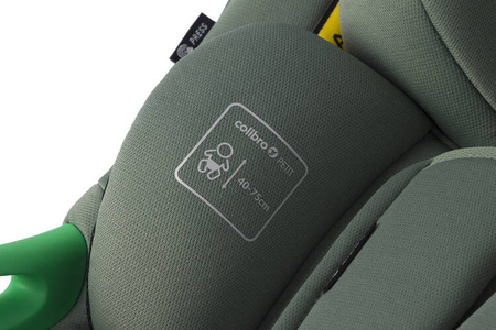 Colibro Petit Pro Fotelik Samochodowy 0-13 kg Pine
