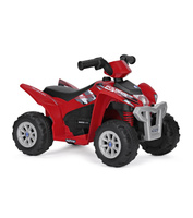 Polaris Mini 6V Quad