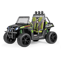 Polaris Rzr 24v Pro