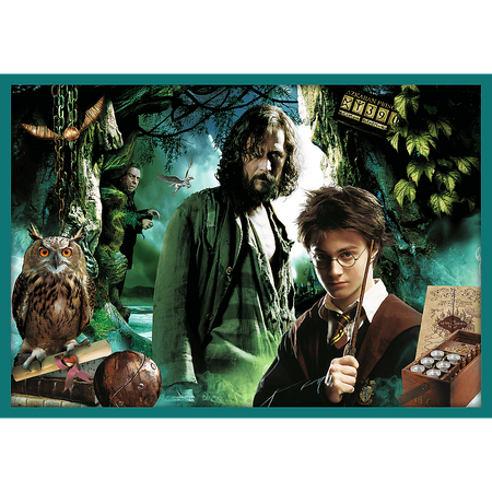 Trefl Harry Potter Puzzle 10w1 W Świecie Harrego Pottera