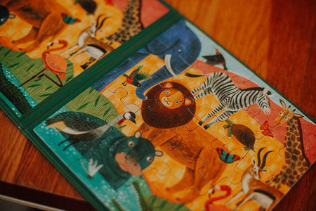 Mudpuppy Puzzle magnetyczne 2w1 Safari & dżungla 20 elementów 4+