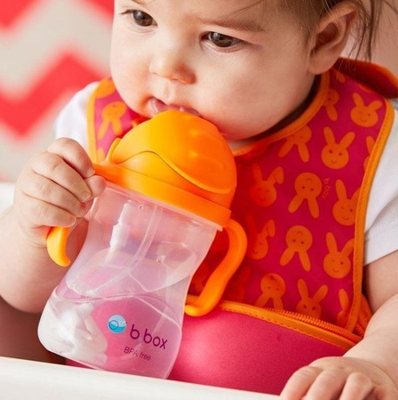 B.Box Innowacyjny Bidon Ze Słomką Malinowy