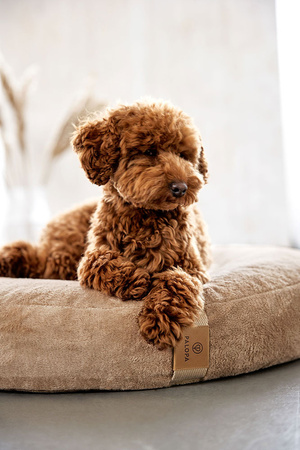 Palopa Donut Okrągłe Legowisko dla Psa Fippa Humus M-L