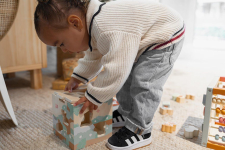 Joueco The Wildies Family Drewniany sorter