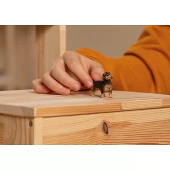 Schleich Farm World - Jamnik Szorstkowłosy