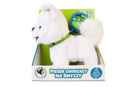 Artyk Piesek Chodzący na Smyczy