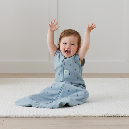 ErgoPouch Śpiworek Jersey 8-24M 1.0TOG Dragonflies