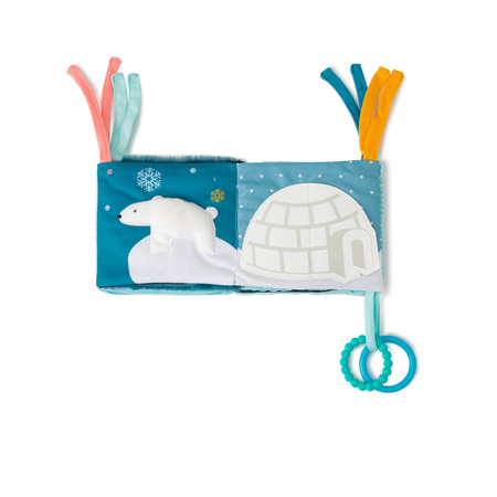 Little Big Friends Pierwszaw Książeczka Ocean