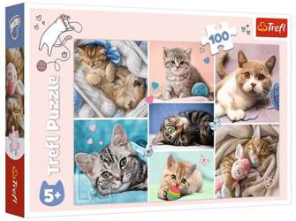 Trefl W Kocim Świecie Puzzle 100 Elementów