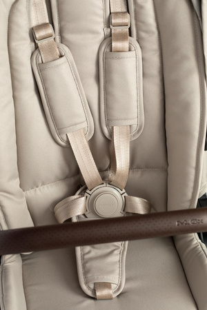 Mast Swiss Design M6x Wózek Spacerowy Lion