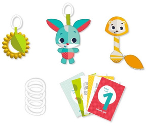 Tiny Love Zestaw Zabawek z Kartami Zabawa Na Łące 0m+