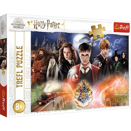 Puzzles Secret Harry Potter  Warner