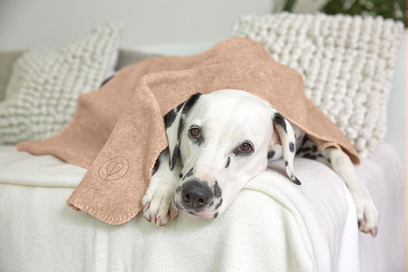 PALOPA Kocyk dla psa Mathilda maple M