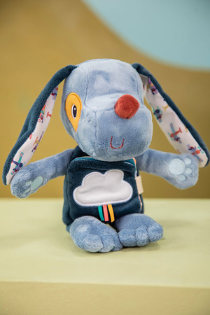 Lilliputiens Przytulanka z książeczką Piesek Jules 6 m+