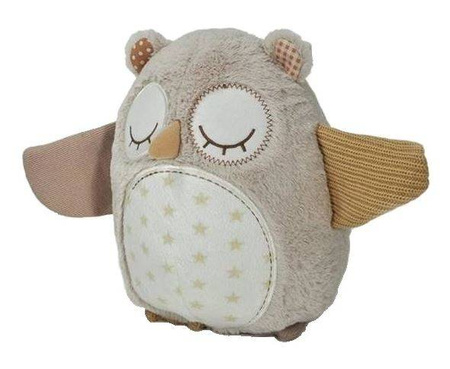 Cloud B Nighty Night Owl Smart Sensor  Szumiąca Sowa z Czujnikiem Dźwięku i Pozytywką