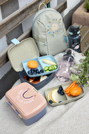 Lassig Lunchbox z wkładką Tiny Outdoor Rainbow