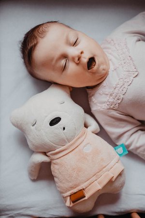 Szumisie Szumiący Miś Suzy Róż