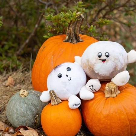 Celestial Buddies Planety - Pluszowe Gwiazdy Polaris Ab i B