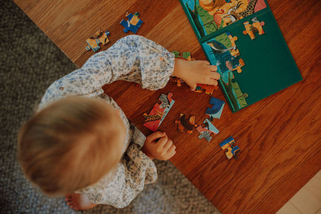 Mudpuppy Puzzle magnetyczne 2w1 Safari & dżungla 20 elementów 4+