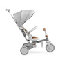 Toyz Faro Rowerek 3 Kołowy Grey