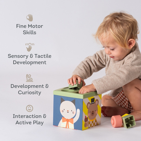 Taf Toys Pojemnik Zabawa i Odkrywanie Sensoryczna Kostka Edukacyjna 12m+ z chustkami