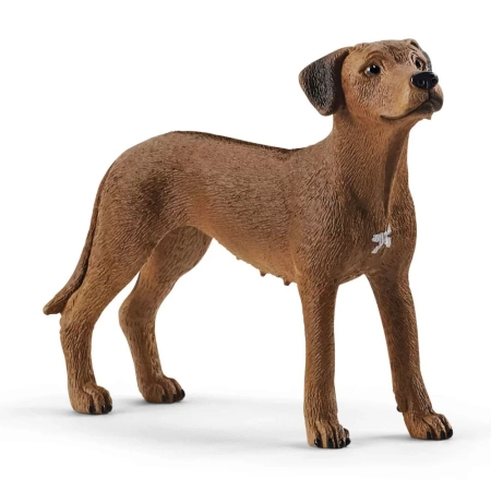 Schleich - Rasa Rhodesian Ridgeback - Pies 13895