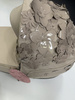 [OUTLET] Cybex Mios 3.0 Gondola Lux  Nude Beige Simply Flowers