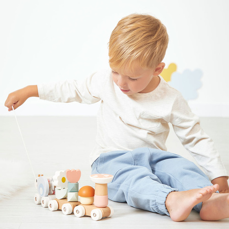 Janod  Magnetyczny pociąg z klockami i grzechotką do ciągnięcia Ślimak Sweet Cocoon 12m+