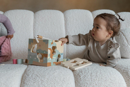 Joueco The Wildies Family Drewniany sorter