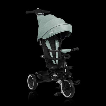 Lionelo Rowerek Trójkołowy Berry Green Forest